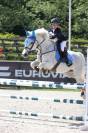 Caballo castrado Connemara En venta 2011 Tordo
