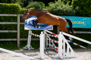 Jument de 3 ans &ndash; top mental, beau potentiel CSO