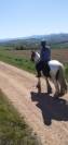 Superbe Irish Cob pie