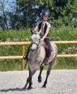&Agrave; vendre poney de sport