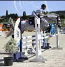 &Agrave; vendre poney de sport