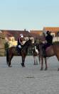 PUR-SANG 5ANS PP HONGRE TOP CHEVAL EQUILIBRE ET DRESSE