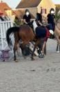 PUR-SANG 5ANS PP HONGRE TOP CHEVAL EQUILIBRE ET DRESSE