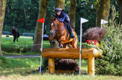 Hongre de 10ans cso/cce