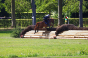 Hongre de 10ans cso/cce