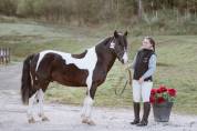 Poney OC - 2 ans 
