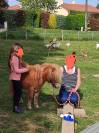 Poney Shetland PP
