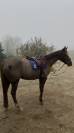 A VENDRE 