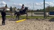&Agrave; vendre -? MALISTA D&rsquo;HIRLA?