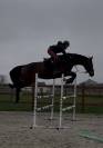 &Agrave; vendre, cheval SBS de 5ans 