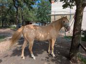 Rocky Mountain 10 ans
