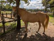 Rocky Mountain 10 ans