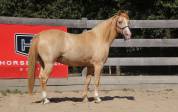 Rocky Mountain 10 ans