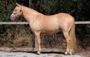 Rocky Mountain 10 ans