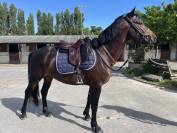 M&acirc;le PFS 4ans 