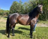 M&acirc;le PFS 4ans 