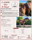 Franches montagnes