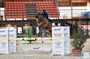 Super Hongre de 9 ans par Untouchable 27// Quidam de revel 