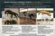  ? Valorisation PRO &ndash; 3 Jeunes Chevaux Cycles 2027 