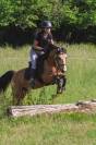 Poney C CSO/Hunter/Dressage