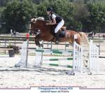 A vendre PFS 6 ans pour CSO