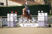A vendre PFS 6 ans pour CSO