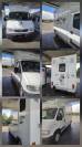 Camion chevaux VL OPEL MOVANO