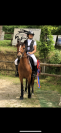 &Agrave; LOUER PONETTE QUALIFI&Eacute;E POUR LAMOTTE EN P1