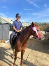 Hickstead d'Eskame, hongre, 9 ans, 147 cm &agrave; la toise
