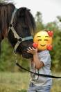 &Agrave; vendre &ndash; Ponette ONC de 4 ans