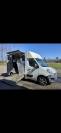 camion chevaux 2 places