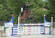 Hongre 5ans CSO amateur &eacute;lite 