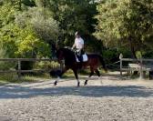 Jument 2023 dressage 