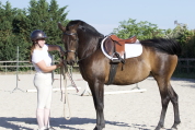 Pouliche pur sang lusitanien 5 ans 