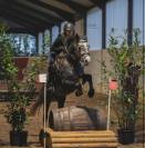 Sport pony for sale 