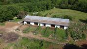 TENUTA EQUESTRE E AGRICOLA CON POTENZIALE DI SVILUPPO