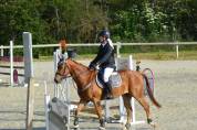 Hongre 10 ans Quater Horse PP