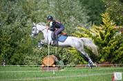 Poney en or &agrave; vendre 