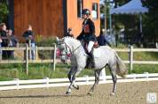Poney en or &agrave; vendre 