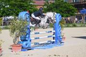 Poney en or &agrave; vendre 