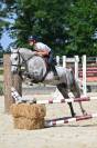 Poney en or &agrave; vendre 