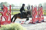 Ponette shetland PP (CSO/equifun)