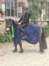 Ponette shetland PP (CSO/equifun)