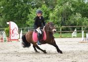 Ponette shetland PP (CSO/equifun)