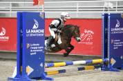 Ponette shetland PP (CSO/equifun)