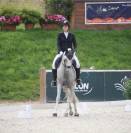TOP poney pour As cce/cso/dress