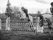 TOP poney pour As cce/cso/dress