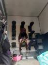 Camion per Cavalli Renault Premium  2010 Occasione