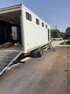 Camion per Cavalli Renault Premium  2010 Occasione