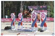 Ruin Franse rijpony PFS Te koop 2019 Vos ,  Mon Nantano de florys